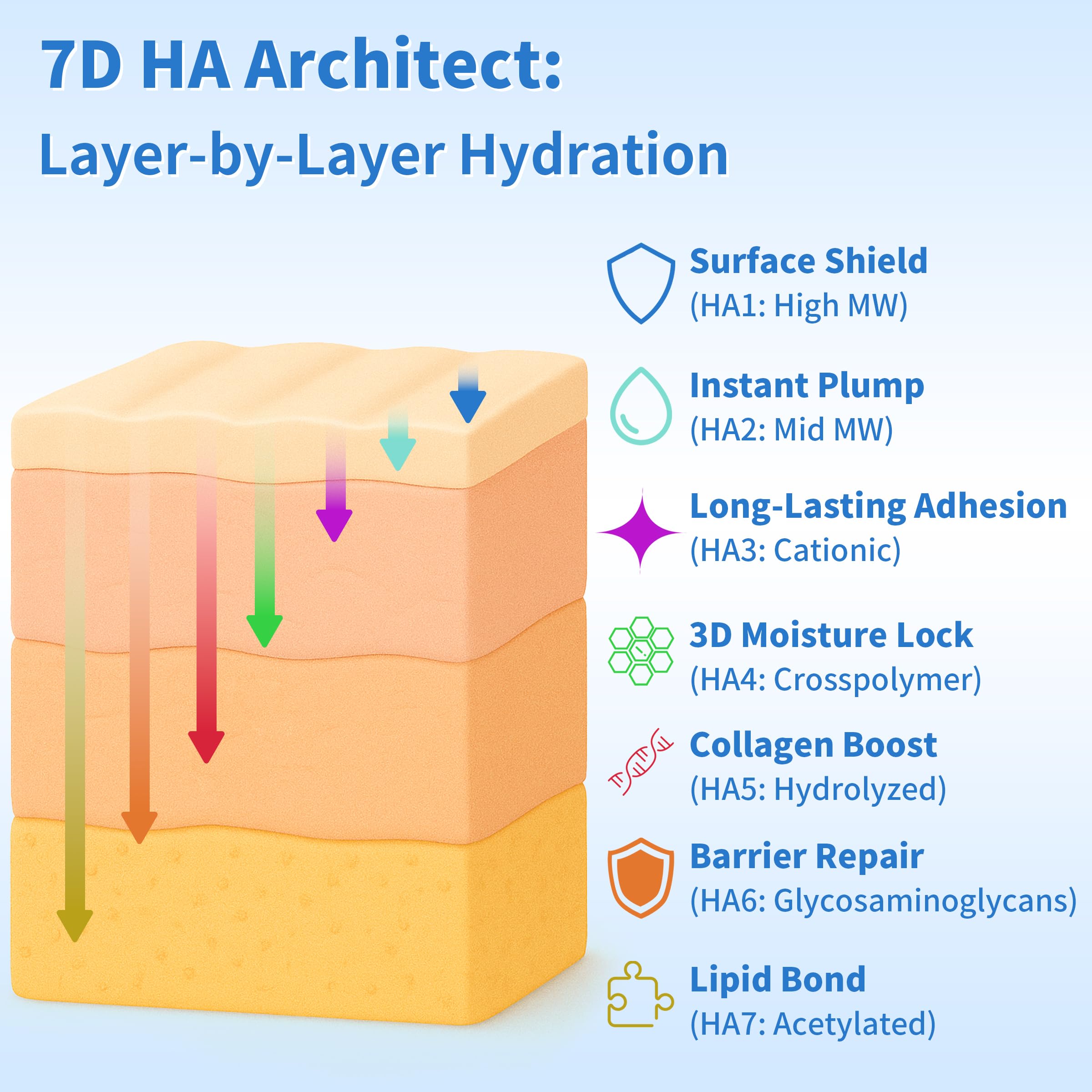 Bellimo 7D Hyaluronic Acid Matrix visual emphasizes targeted moisture delivery