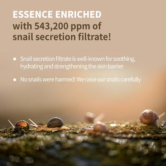 A close-up of the lotion texture shows light, fast absorption.