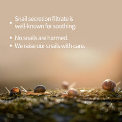 Benton Snail Bee eye-flap mask demonstrates eye-area coverage for comfort.