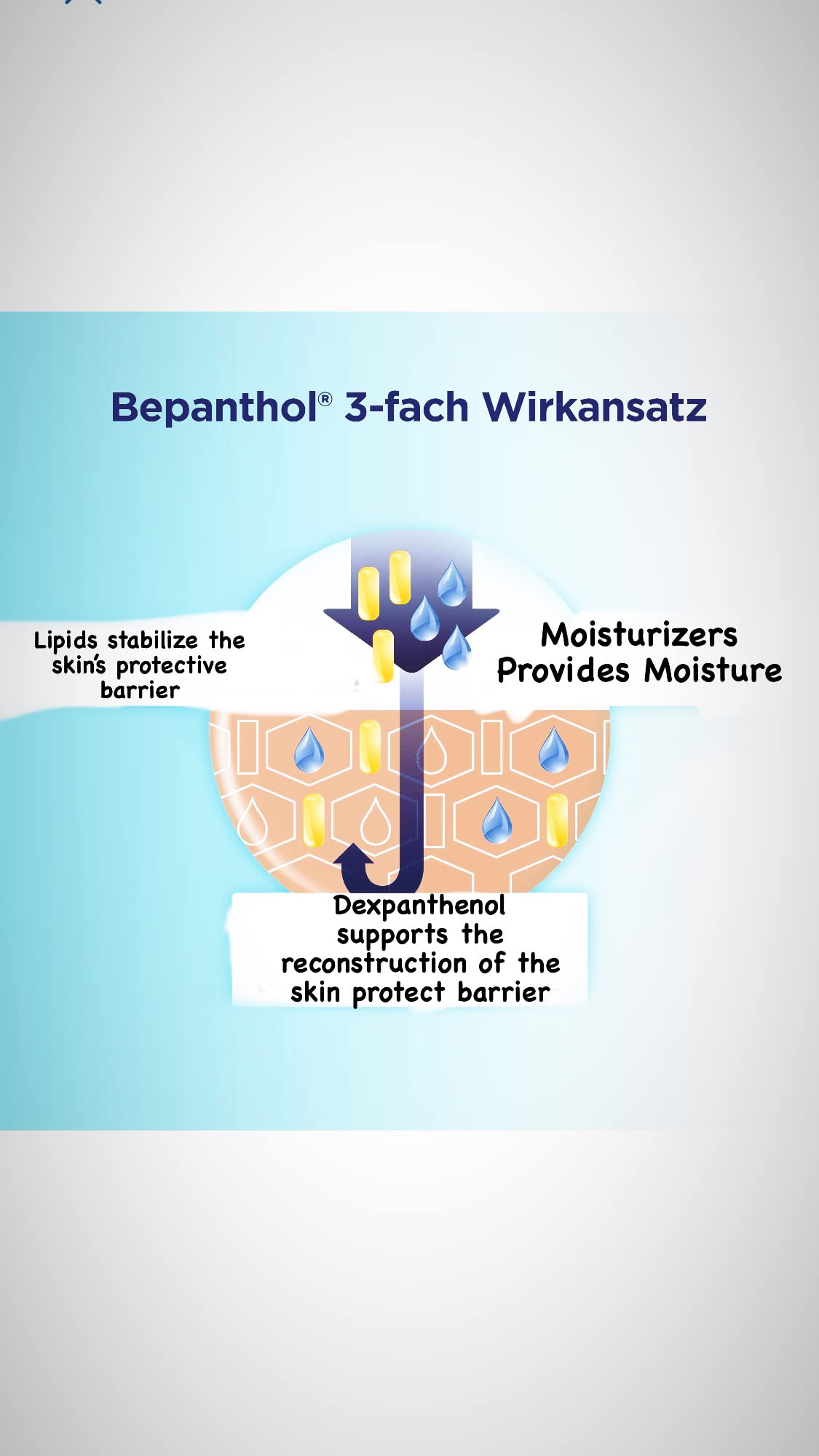 Bepanthol Lipstick defending lips against wind and dryness