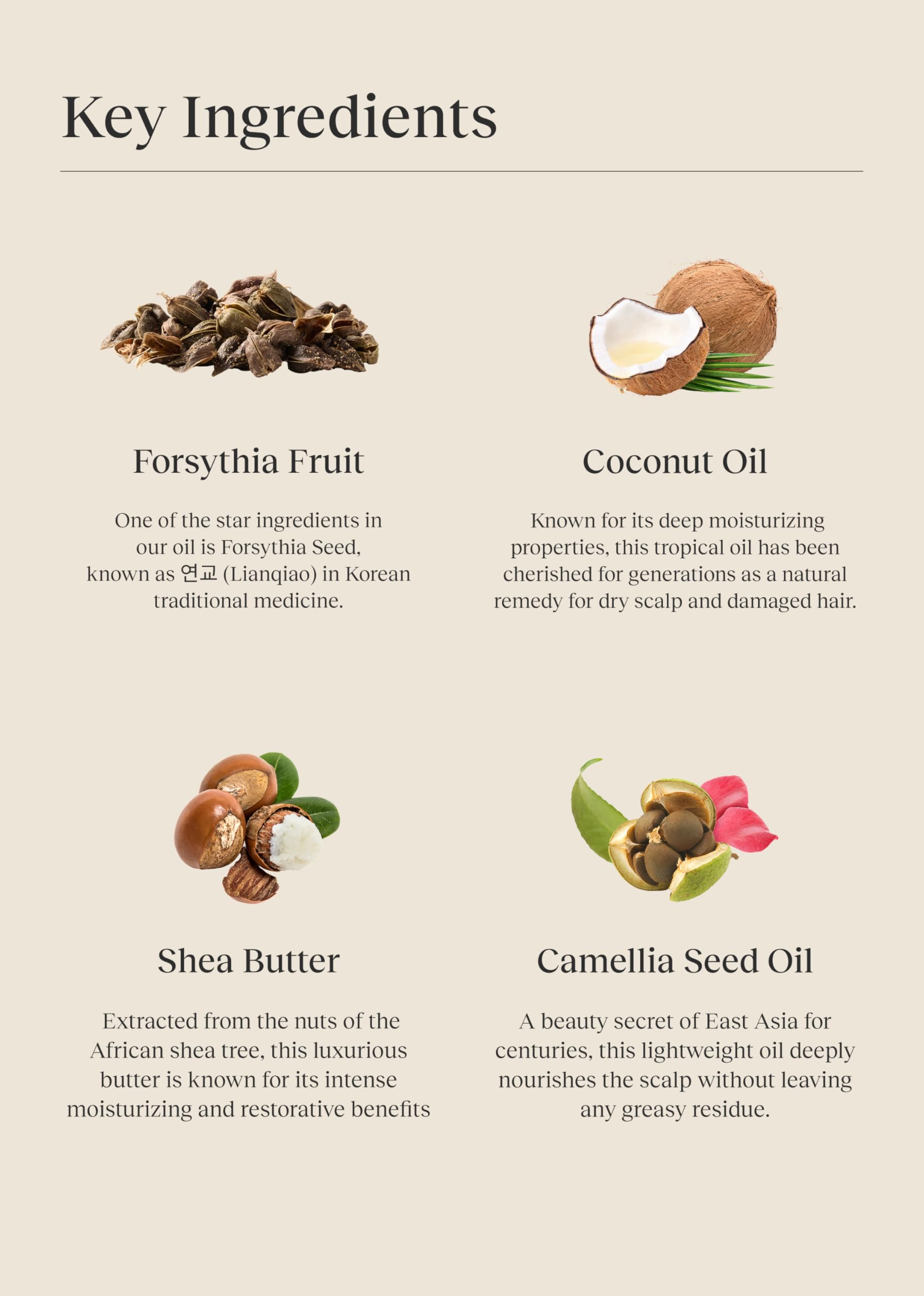 Bephor Braid Rev ingredients graphic, herbal extracts supporting balanced scalp.