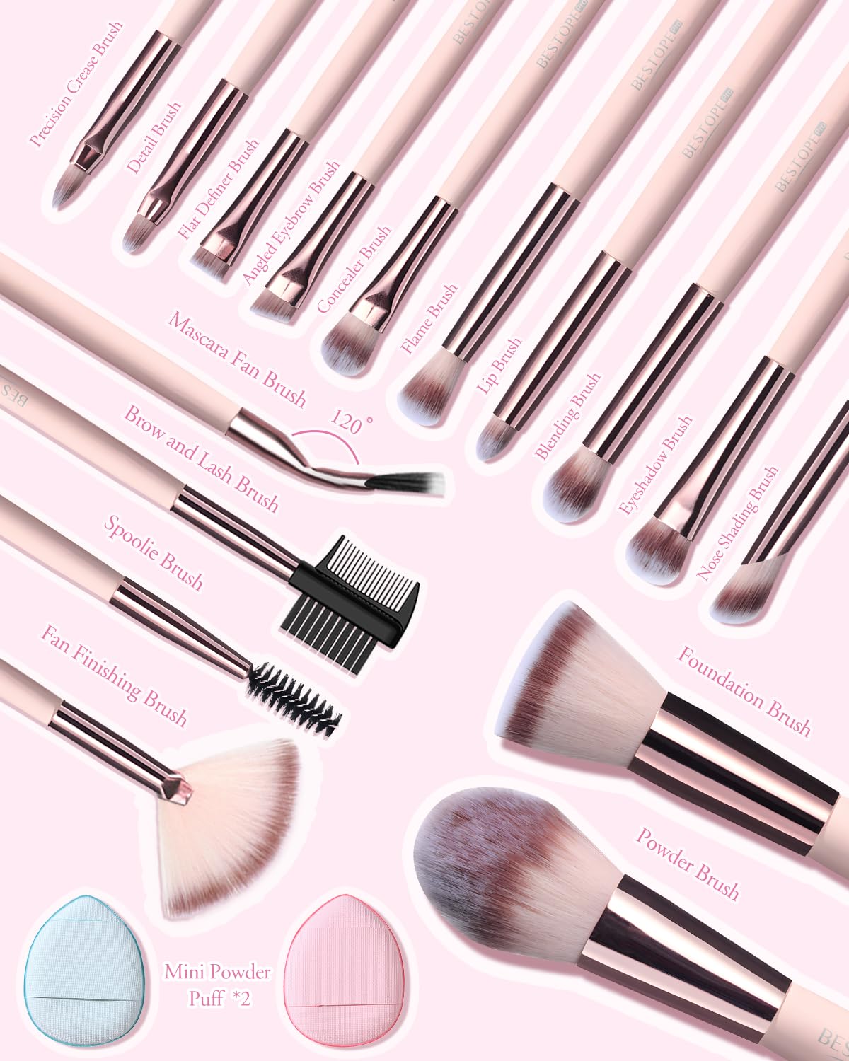 Six face brushes and ten detail brushes cover full makeup routine