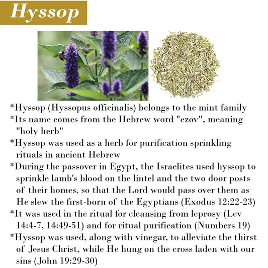 BIBLE N Beautyoils hyssop shampoo close-up showing organic ingredients for nourishment