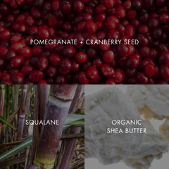 Bioelements Antioxidants Pomegranate Cranberry panel emphasizes vitamin-rich protection.