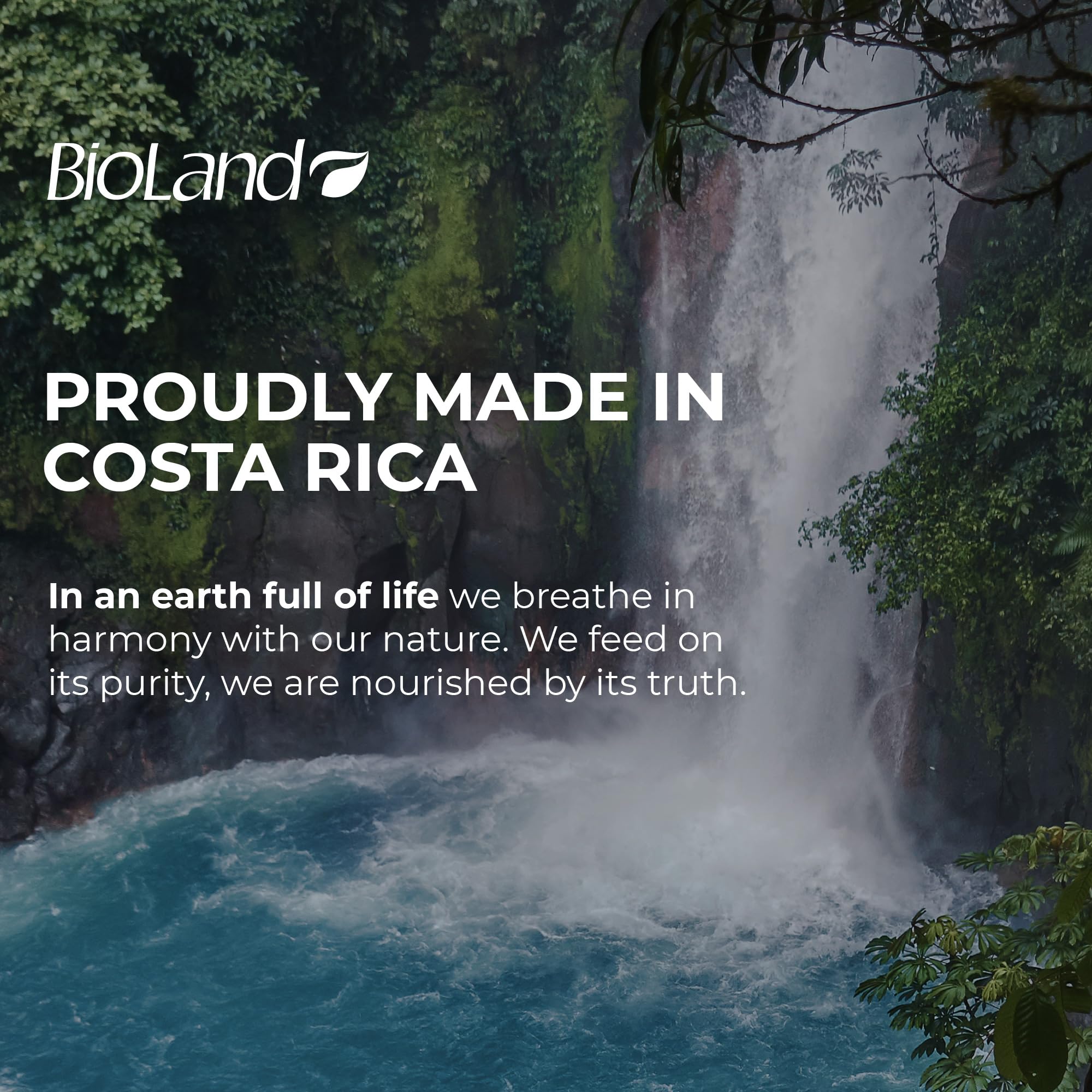 Bioland Keratin Oil Shampoo sustainability emphasis—natural formula for gentle care.