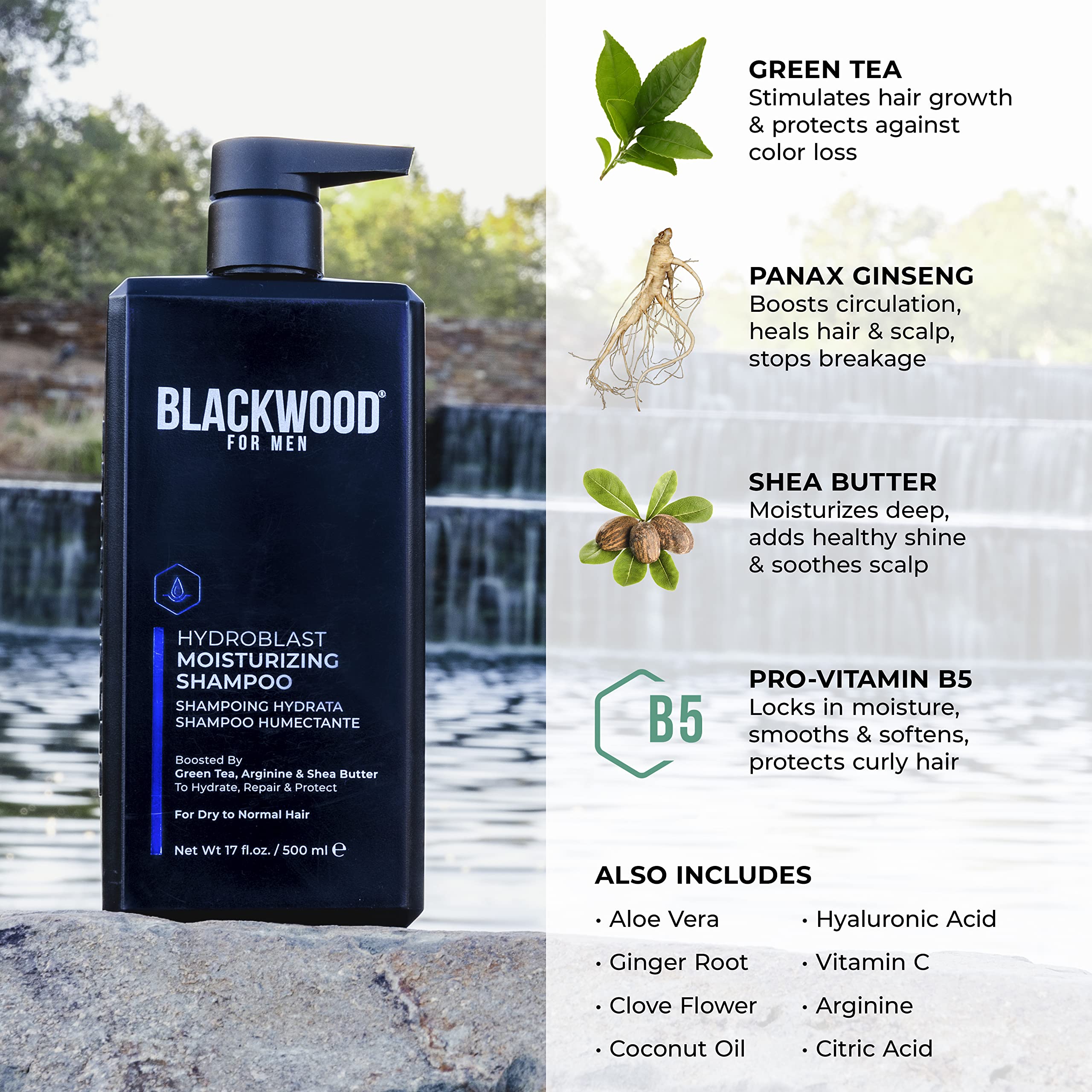 Blackwood For Men Hydroblast ginger aloe visualization for soothing cleansing