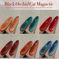 Base and top coats support smooth application and durability