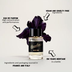 Borsalino Black Iris top notes emphasize bergamot and cardamom for an energizing start.