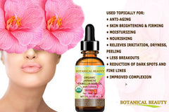 Botanical Beauty Camellia Seed Oil for nails and cuticles supports nourished growth