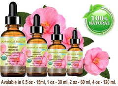 Botanical Beauty Camellia Seed Oil in daily skincare routine for hydration