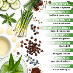 Packaging of Botanical Green Care Rosemary & Lemongrass shampoo for easy use.