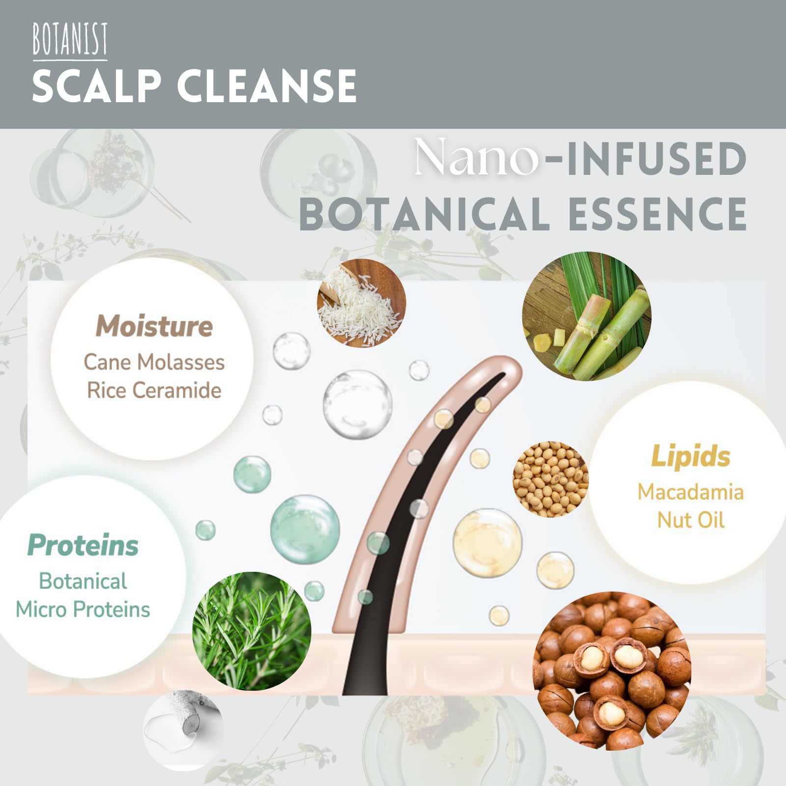 Botanist Moisturizing blend ingredient showcase with glycerin and shea butter.