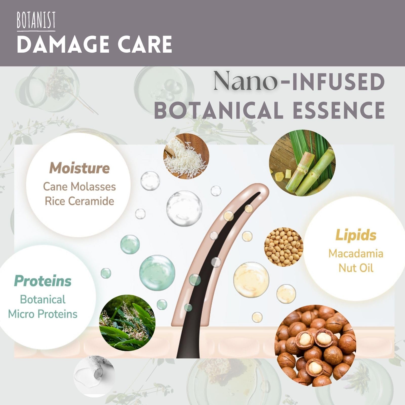 Botanist Organic Shampoo keratin-proteins focus: supports strength and resilience with proteins and lipids.