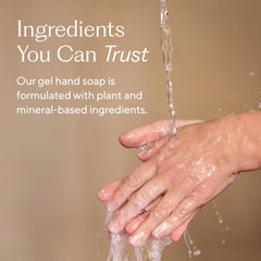 Branch Basics ingredients logo highlighting Aloe, Chamomile, Meadowfoam for soothing skin.
