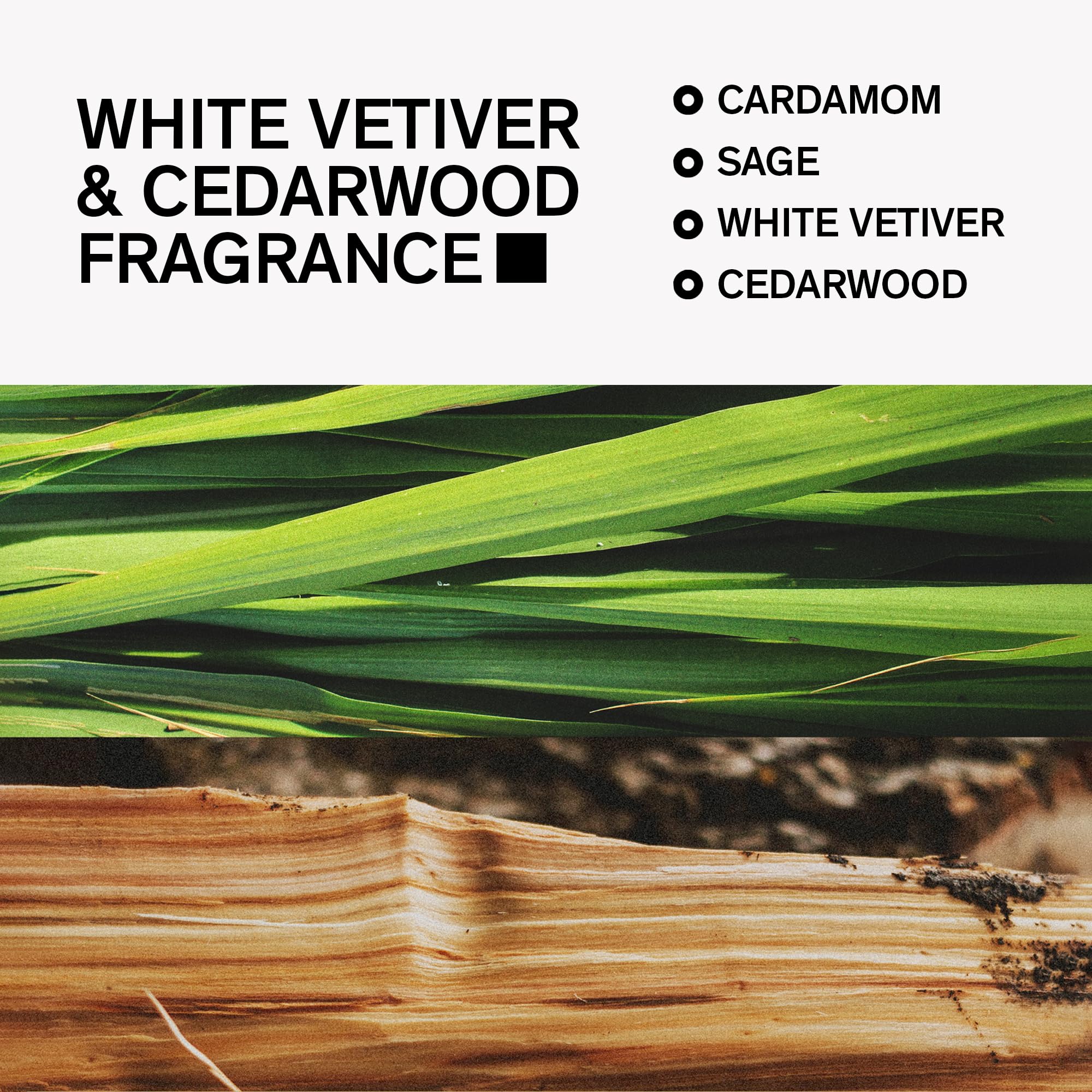 Natural cassava-root powder in Bravo Sierra deodorant for moisture absorption.