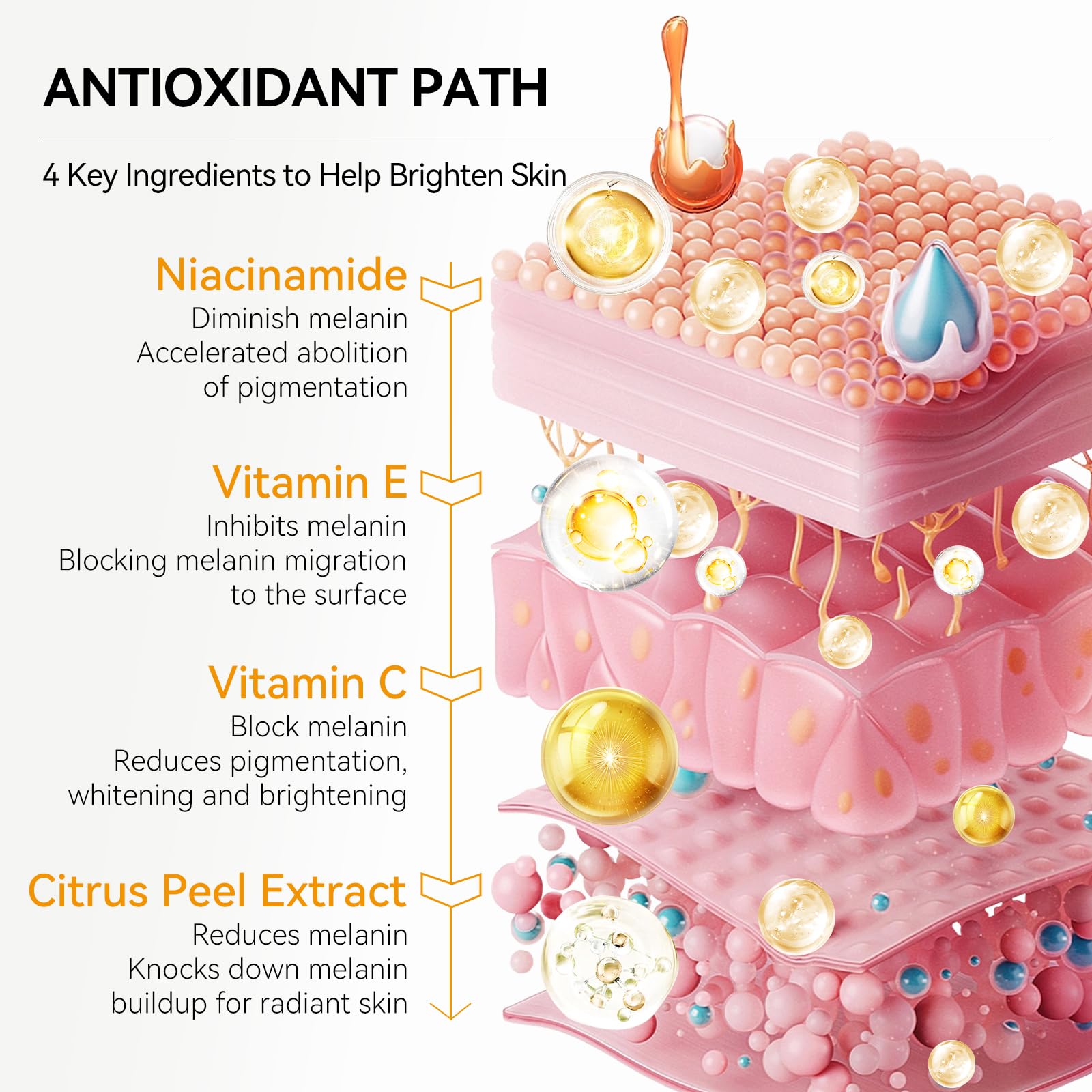 Breylee Vitamin C Serum packaging close-up highlights clean formula