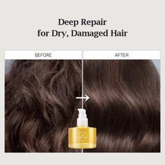 British M Annatto Hair Oil bottle indicating heat and UV protection benefits.