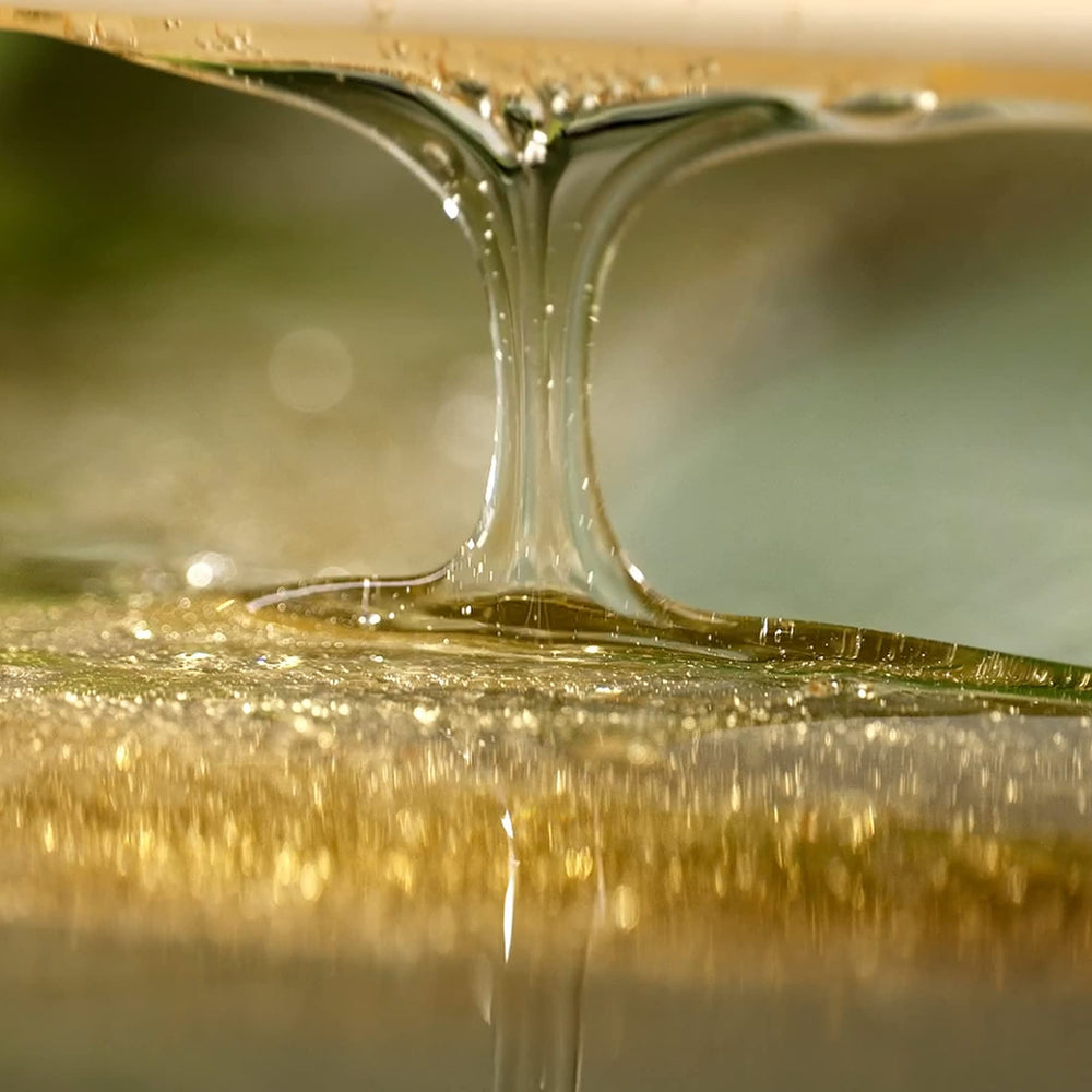 British M Kombucha Shampoo packaging, refill option supports an eco-friendly routine.
