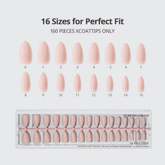 BTArtboxNails XCOATTIPS demonstrates 4-week wear potential
