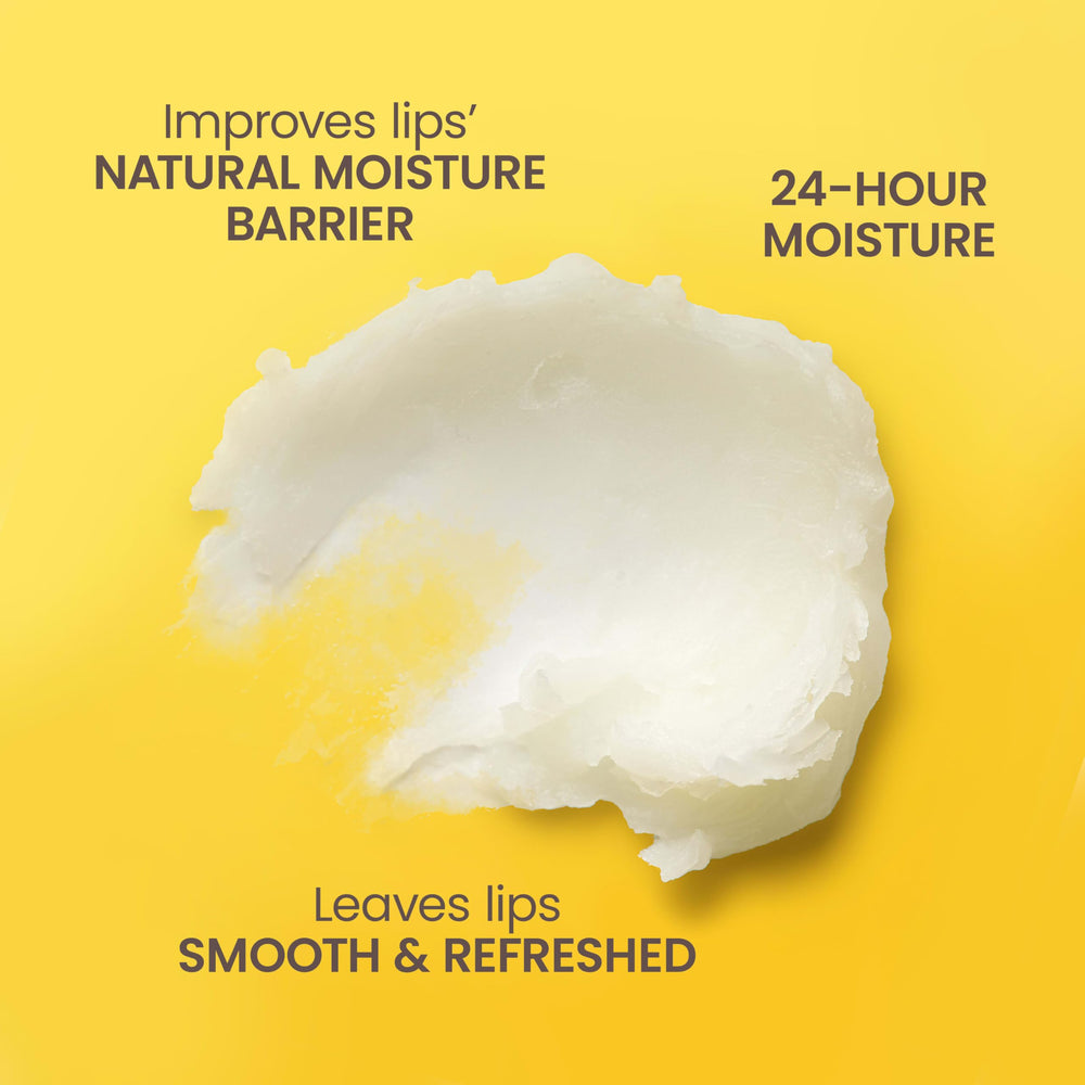 Burt's Bees Beeswax Bounty close-up shows four flavors for daily lip care.