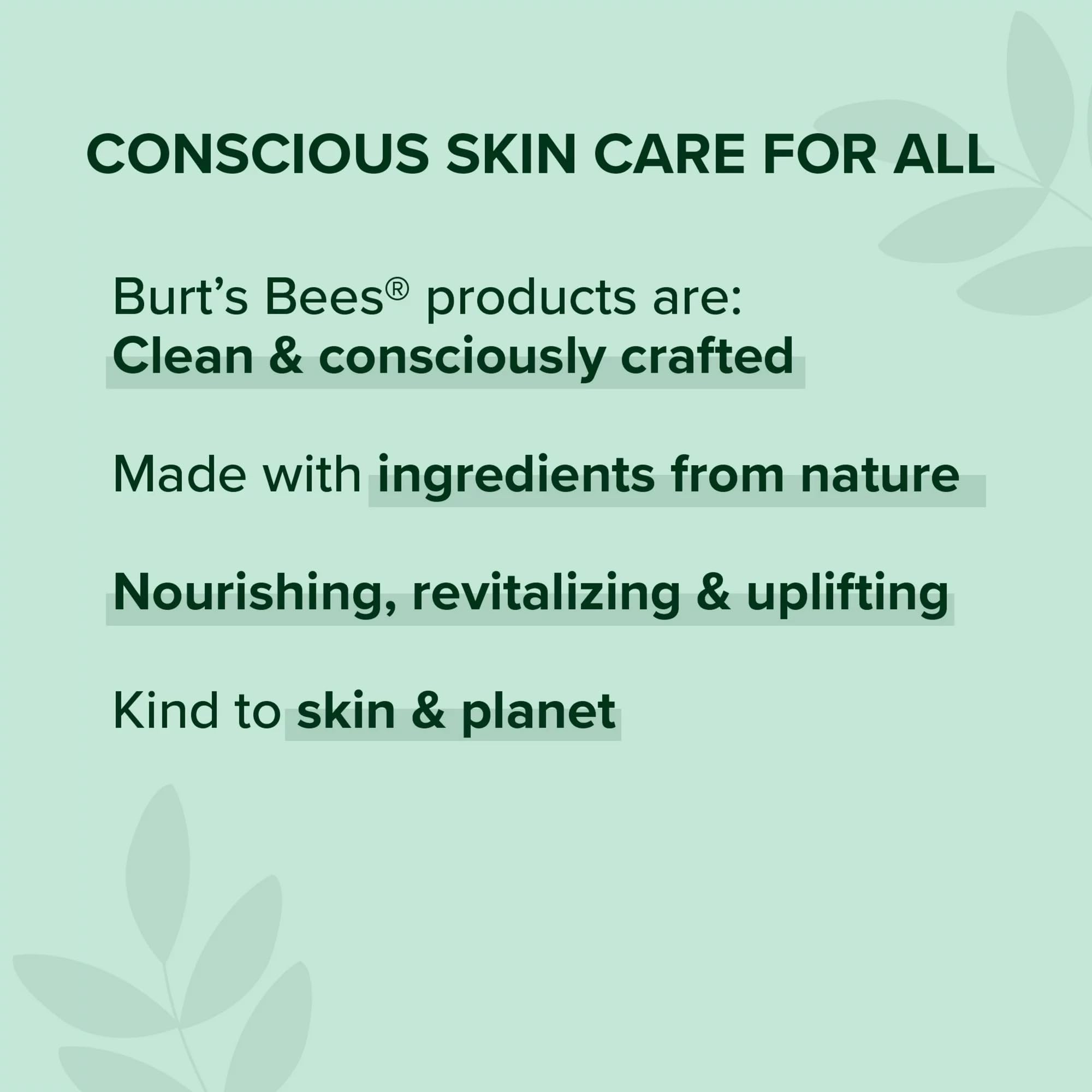 Packaging of Burt's Bees Lip Balm five-pack for travelers
