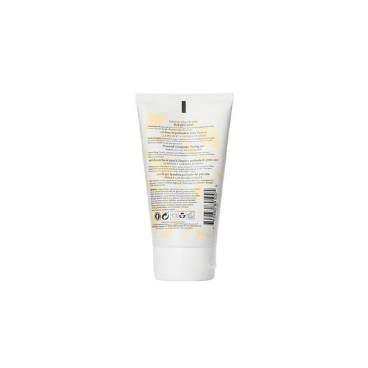 Burt's Bees Peach and Willowbark Deep Pore Scrub pack shot highlighting multi-pack value.