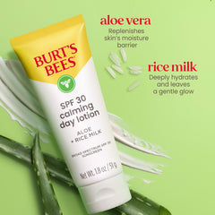 Burt's Bees SPF 30 Calming Day Lotion being applied to the hand for easy layering