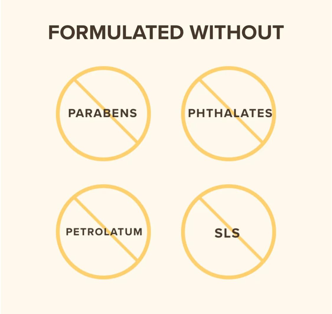 Shelf-ready Burt's Bees tinted lip balm multipack
