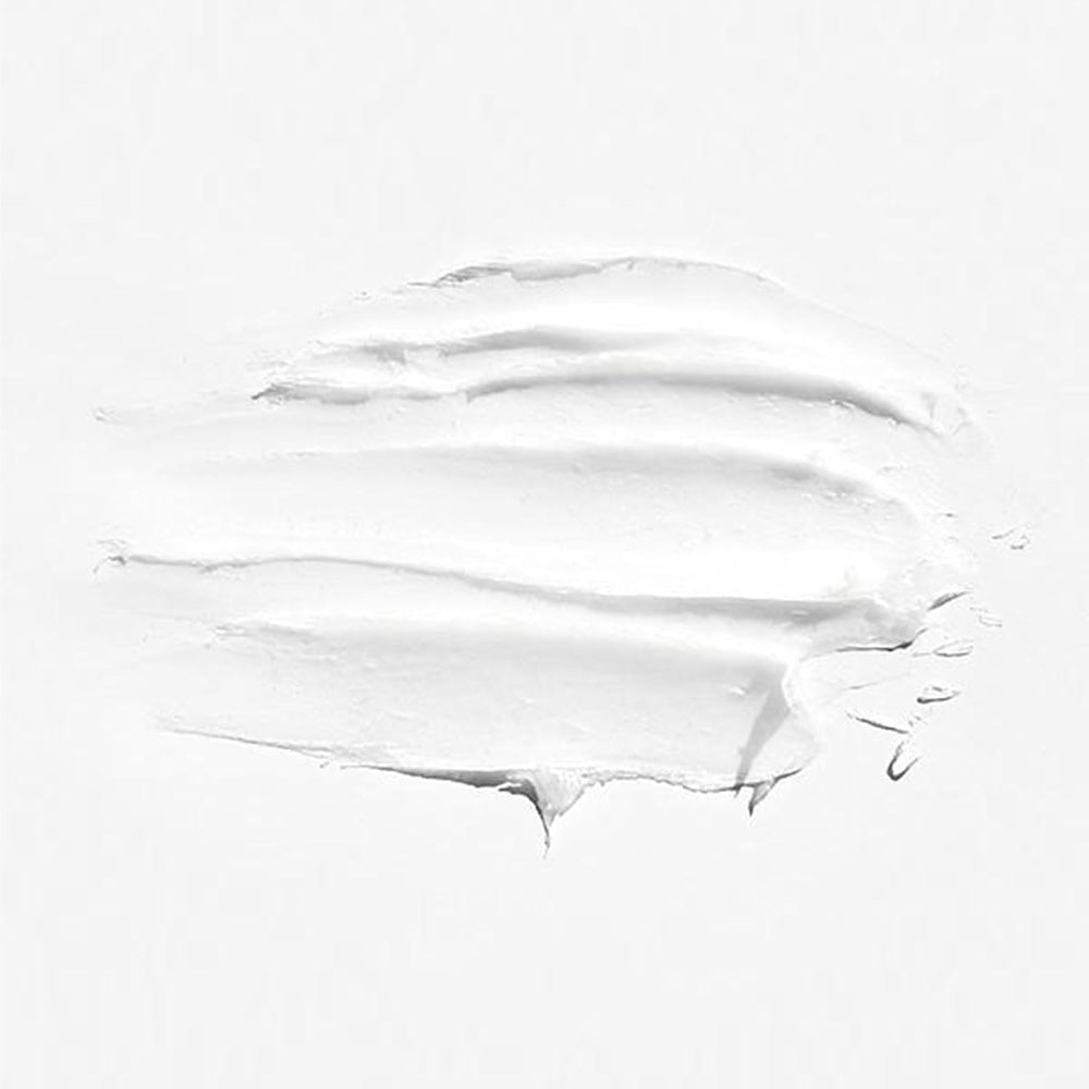 BYRD Salty Coconut car air freshener on car interior