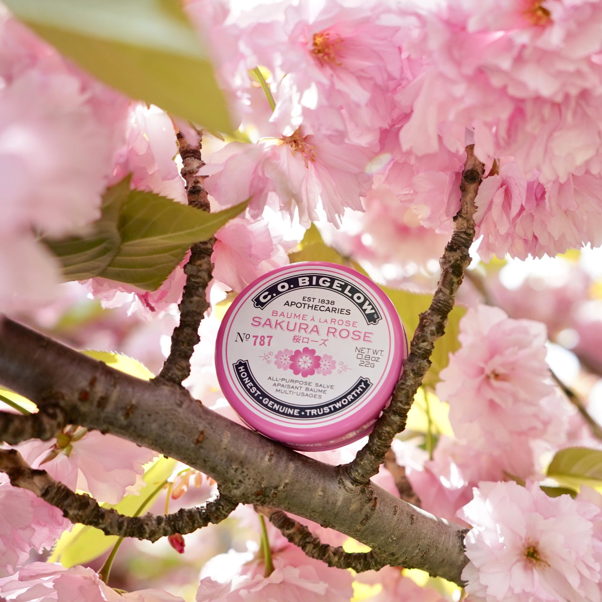 Gift-ready packaging for C.O. Bigelow Sakura Rose Salve set