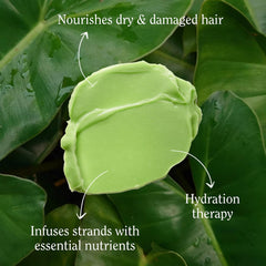 Avocado oil ingredient in California Naturals conditioner for nourished strands