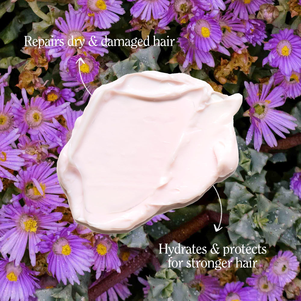 Shea butter cream close-up suggests deep nourishment for smooth strands.