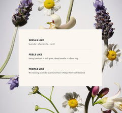 Product photographed with lavender to evoke calming sensory experience.