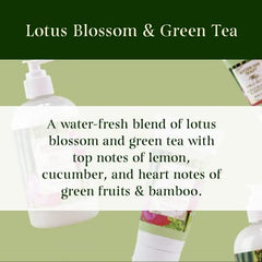 Close-up of hands lathering with lotus blossom green tea cleanser.