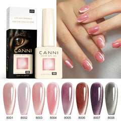CANNI cat-eye gel polish mint with magnet for fresh nails