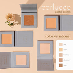 Carlucce Cache Cream 3-in-1 Palette swatches in honey beige for medium skin tones