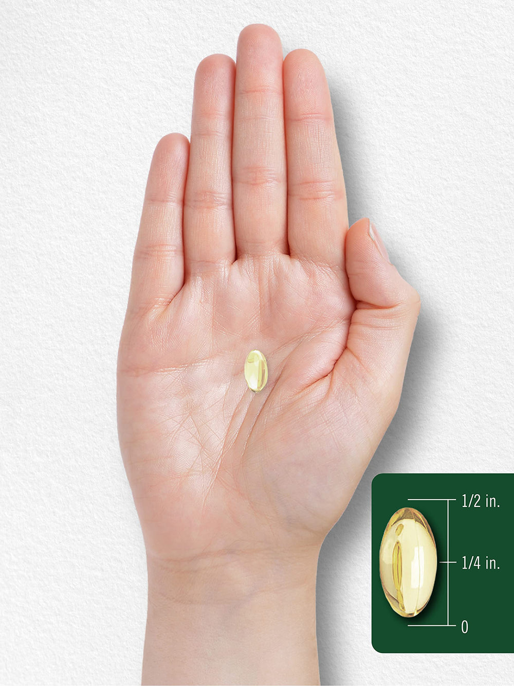 Carlyle Castor Oil seeds origin highlighting traditional herb source for natural wellness.