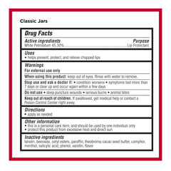 Carmex 9-count pack front view shows versatile lip care options