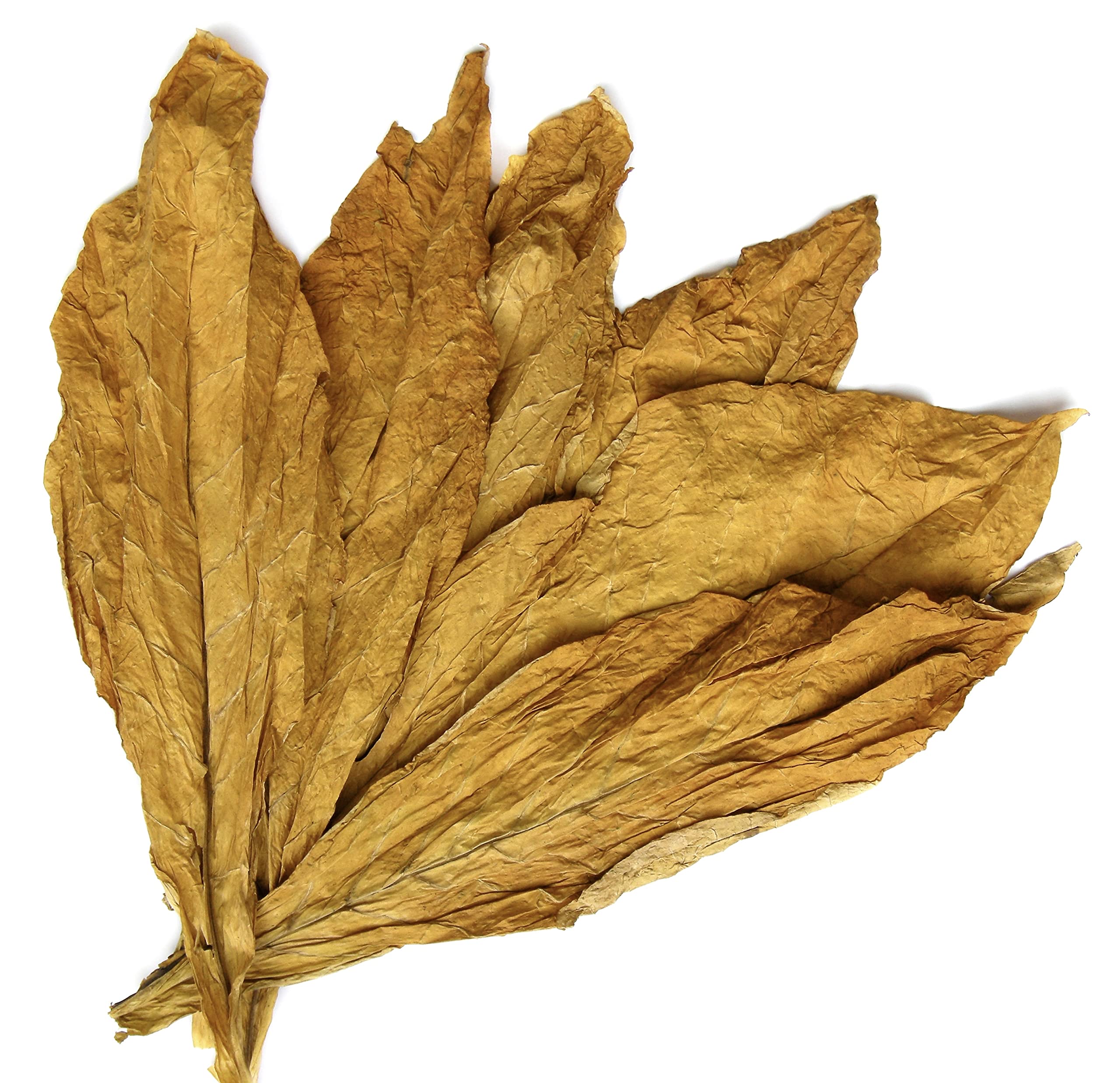 Carolina Castile Tobacco Vanilla gallon size communicates value and long-lasting use.