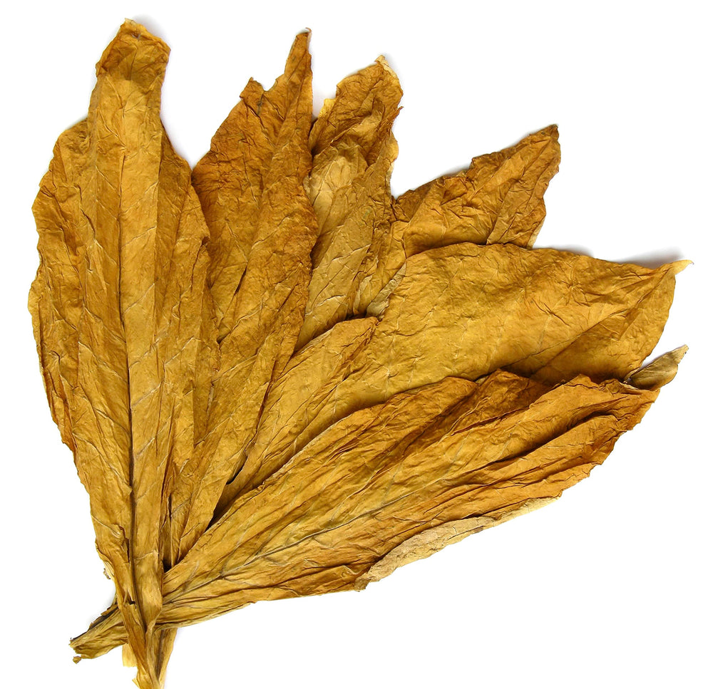 Carolina Castile Tobacco Vanilla gallon size communicates value and long-lasting use.