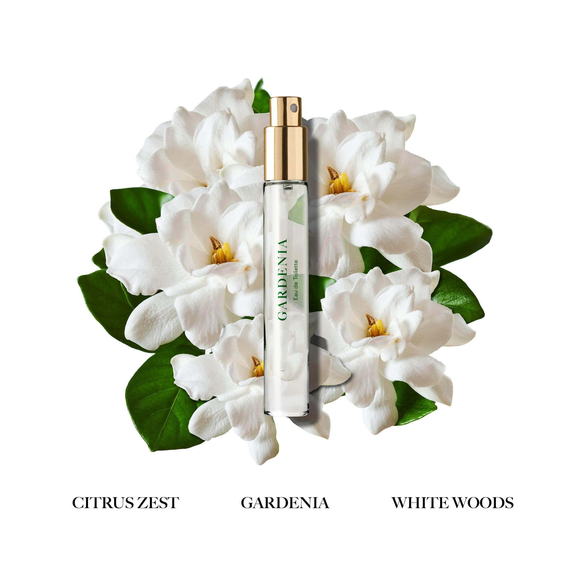 Caswell-Massey Gardenia EDT label close-up highlighting premium branding and gift-ready appeal.