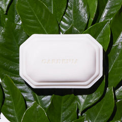 Caswell-Massey Gardenia soap lather close-up emphasizes gentle cleansing