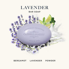 Caswell-Massey Lavender natural bar soap lather close-up highlighting moisturizing glycerin-rich formula.