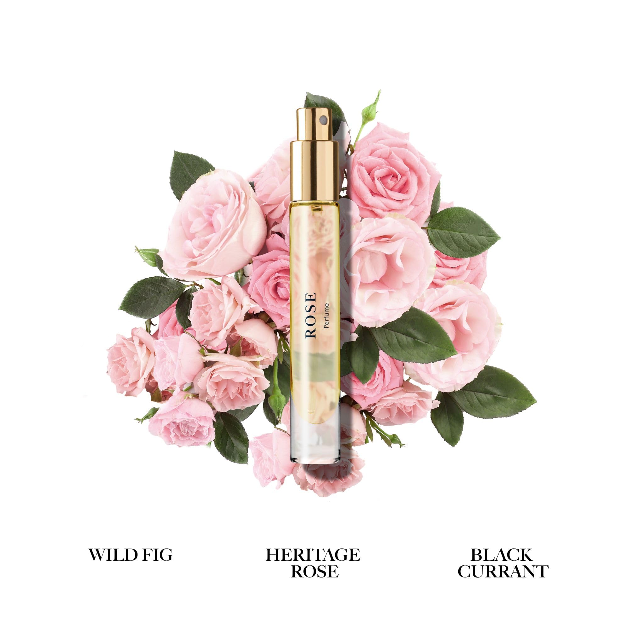 Caswell-Massey Rose Perfume close-up with rose bloom, highlighting floral notes.