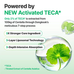 CENTELLIAN24 Madeca Cream Time Reverse fast absorption in action