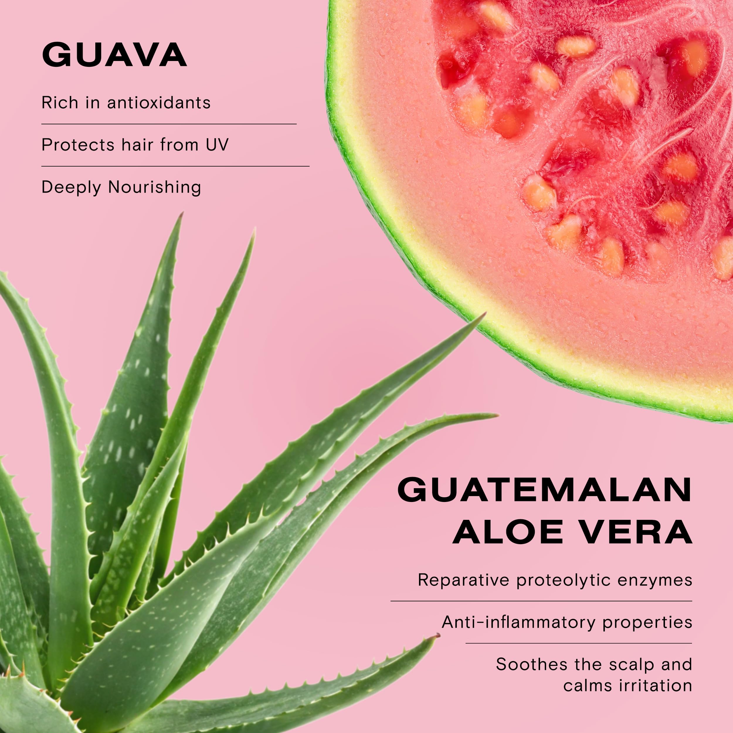 Ceremonia Guava Protect & Repair ingredients graphic with guava and aloe
