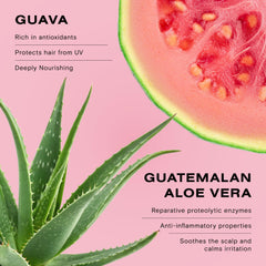 Ceremonia Guava Protect & Repair ingredients graphic with guava and aloe