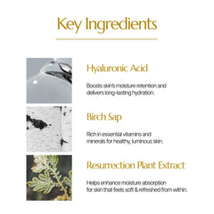 CHALLANS DE Aqua EX cushion with Rosemary Leaf Oil for a refreshing finish.