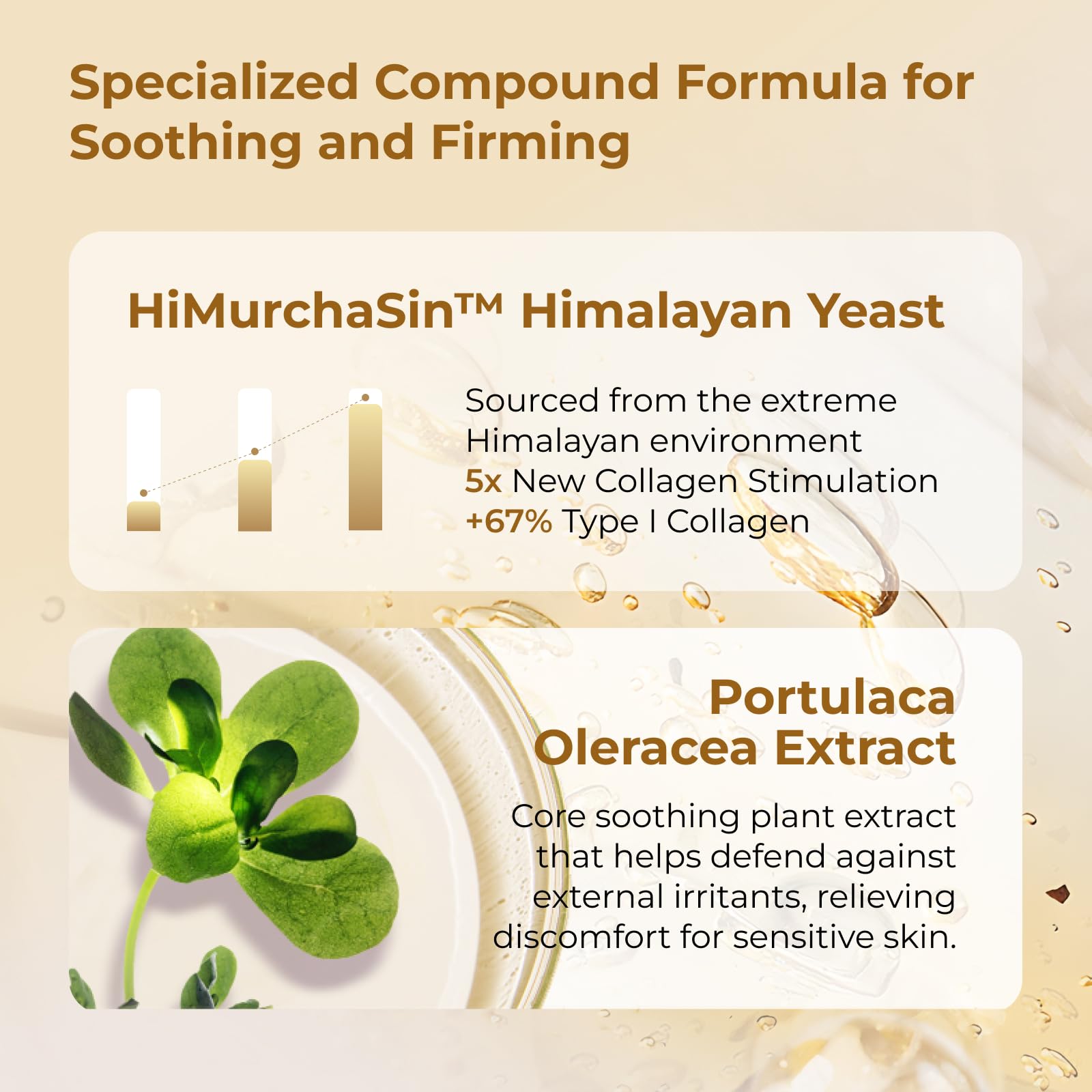 CHANDO HIMALAYA Extravagance HiMurchaSin Himalayan Yeast ingredient boosts collagen