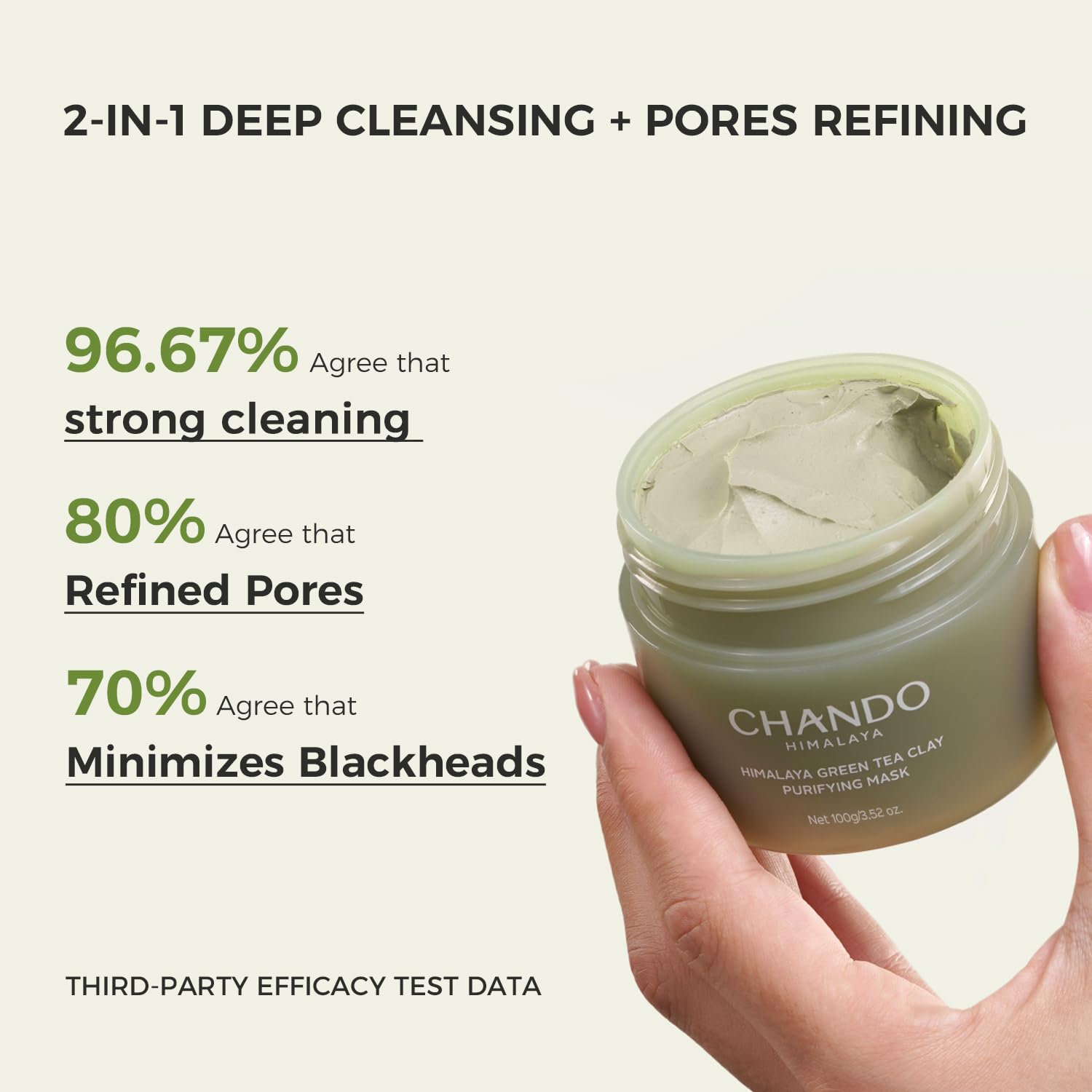 CHANDO HIMALAYA Green Tea Powder close-up highlighting antioxidants